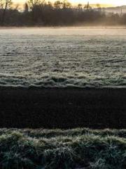 Rong Zhao Nanning Yu