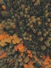 A-SOULapos;s Hoshima