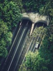 The Daring Wife of a