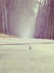 lt;Liang Yimo Cold N