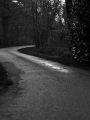 Shocking! This prota