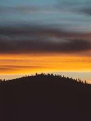 Lin Feng Lin Yun Yao