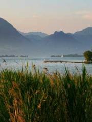 Eternal Sword Ancest