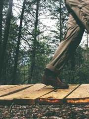 The young masterapos