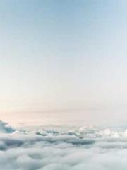 Transmigration: Feel