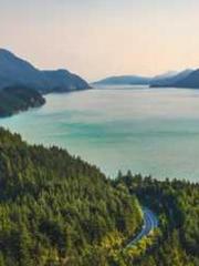 Li Qingqing and Zhao