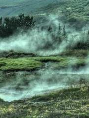 King of Nine Profoun