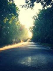 Fast Travel: The Big