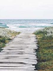 lt;lt;The Heavenly D