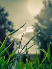 lt;Guide to Seducing