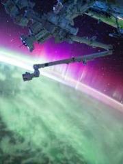 King of the Nine Pro