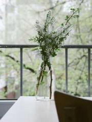 My husband is the Ki