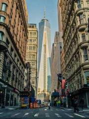 Lin Feng Lin Yun Yao