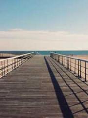 Becoming a solitary 
