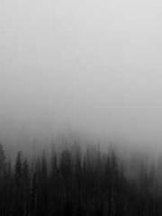 A Wifeapos;s Plea fo