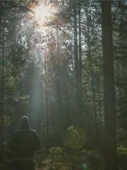 Fāng Chénlín Xuěyán