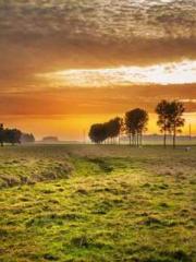 lt;Mr. Bao, Mrs. Bao