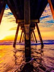 The Heavenly Physici