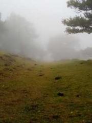 Super husband Lin Xi