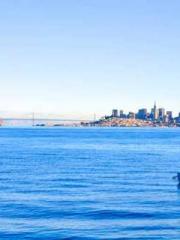 Become a big shot in