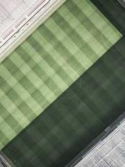 The Realm of the Dao